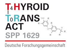 thyroid_transact_spp1629